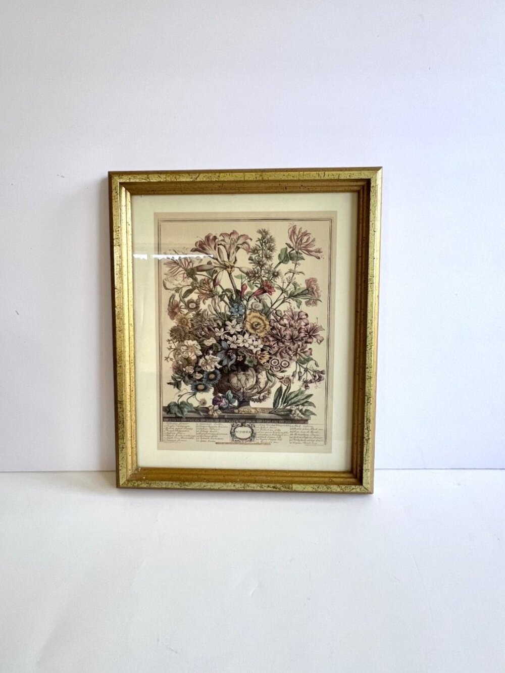 Vintage Robert Furber's classic Twelve Months of Flowers Art Print